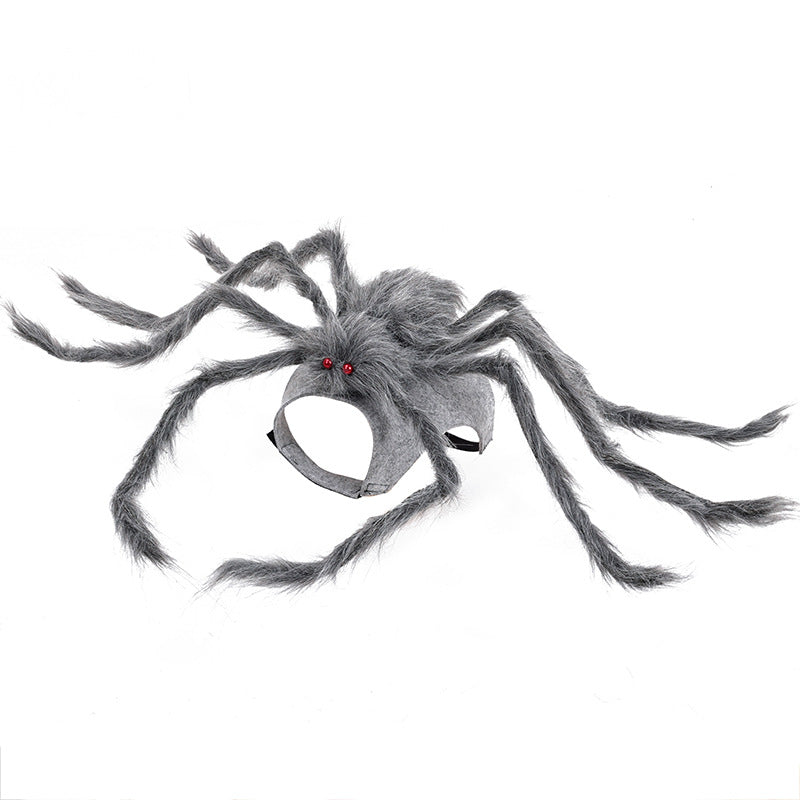 Spider Frenzy