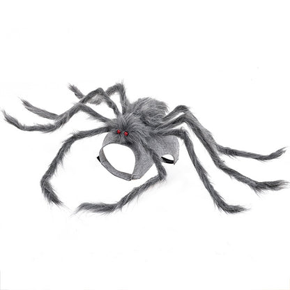 Spider Frenzy