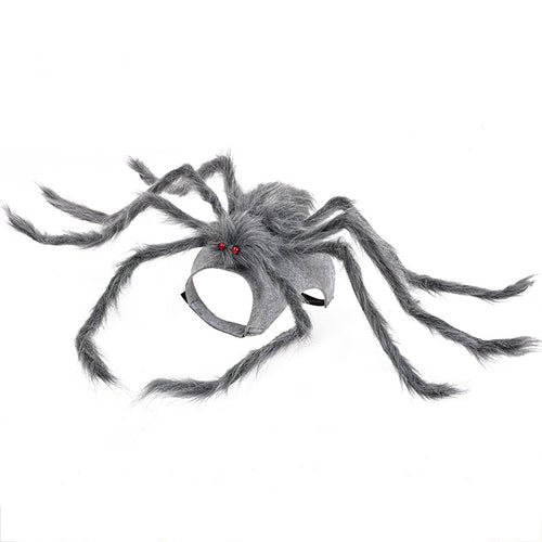 Spider Frenzy