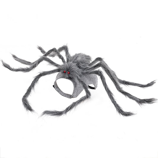 Spider Frenzy