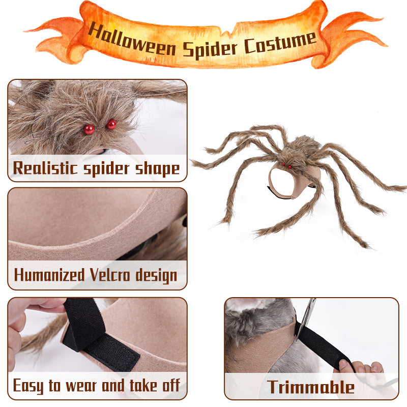 Spider Frenzy