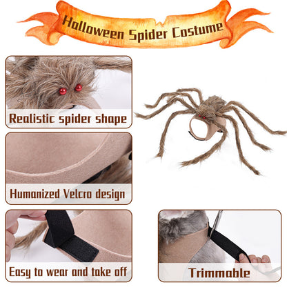 Spider Frenzy