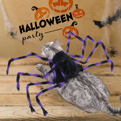 Spider Frenzy